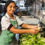 RDC 216/2004: importância para serviços de alimentação terceirizada