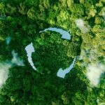Lei Nº 9.605/1998: impactos da lei ambiental na alimentação